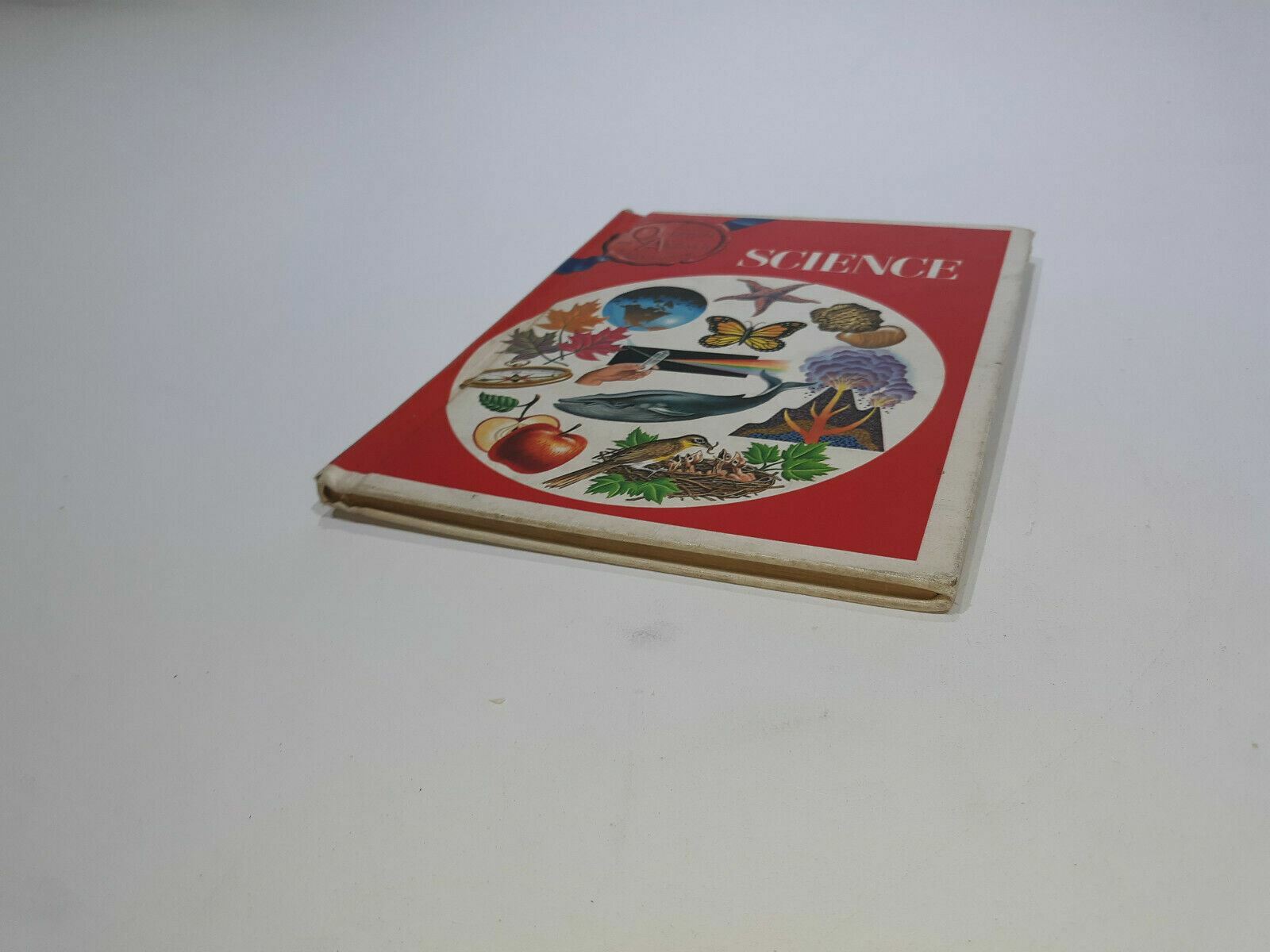 Image #2