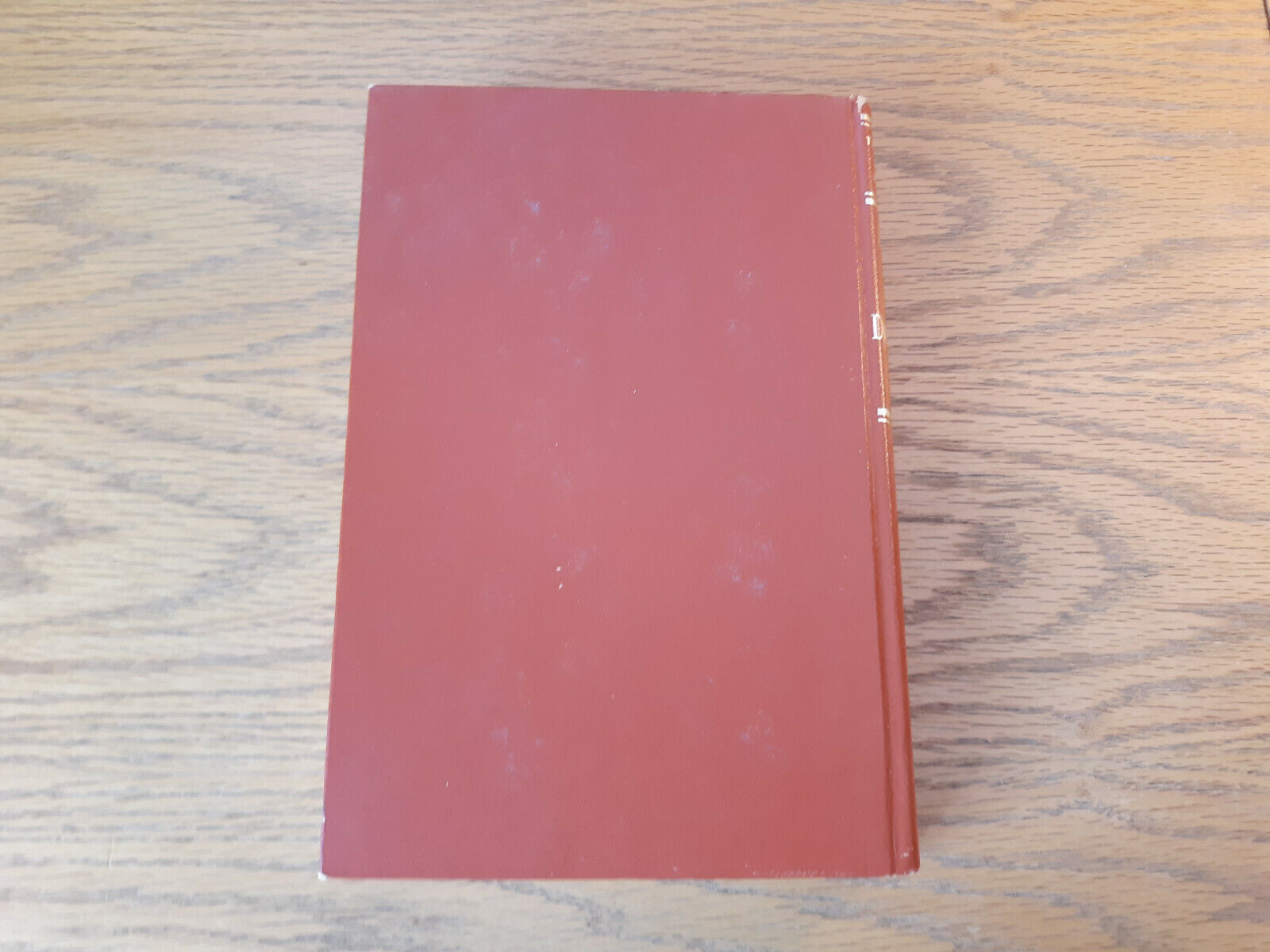 Image #6