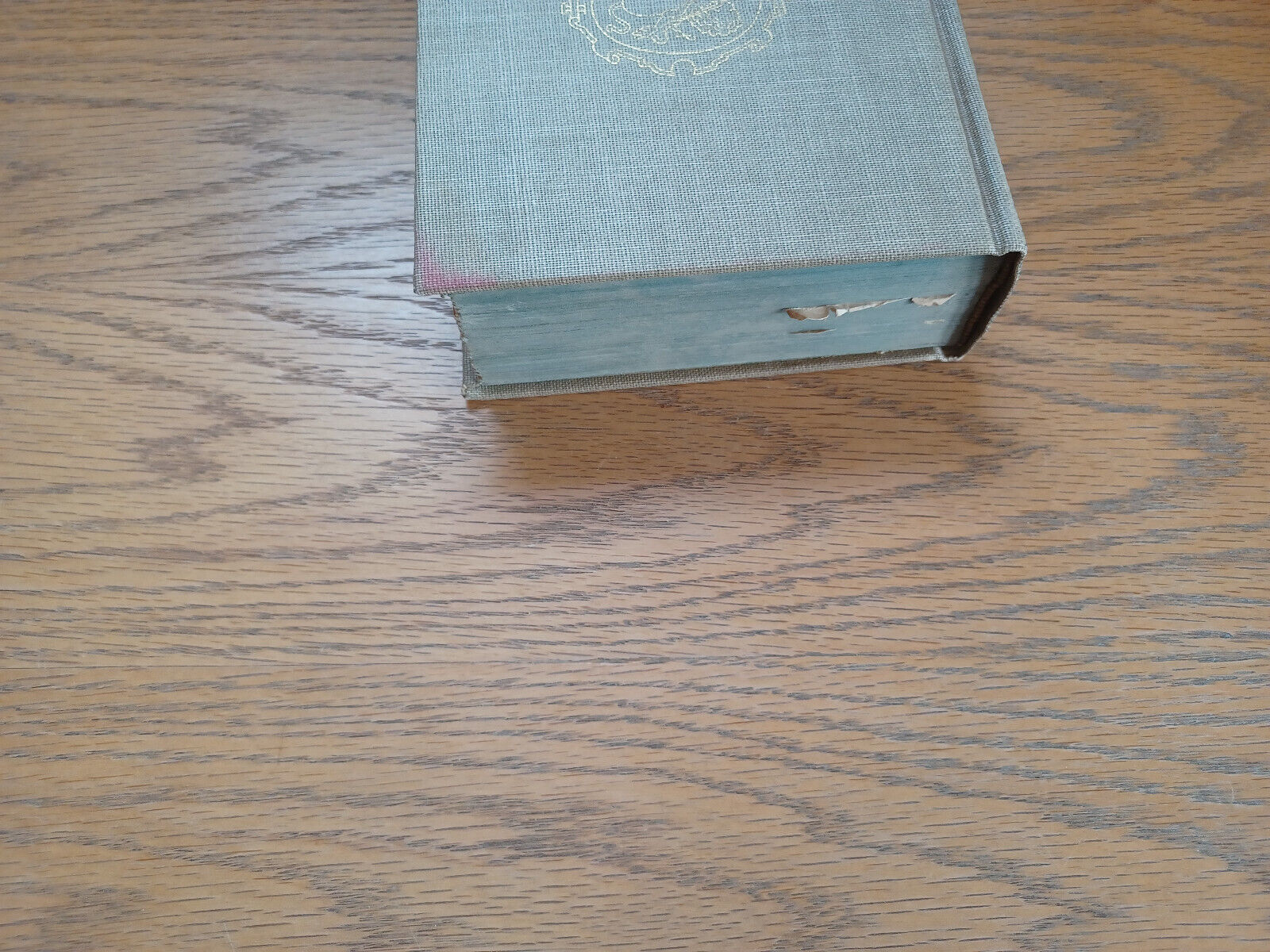 Image #4