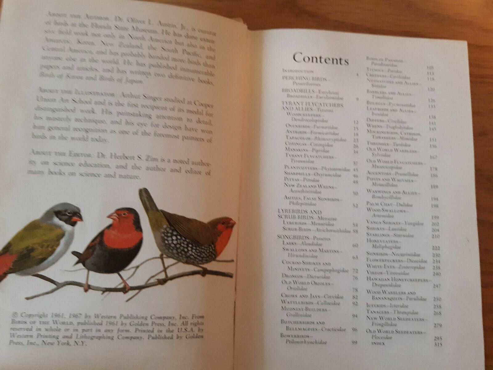 Image #8