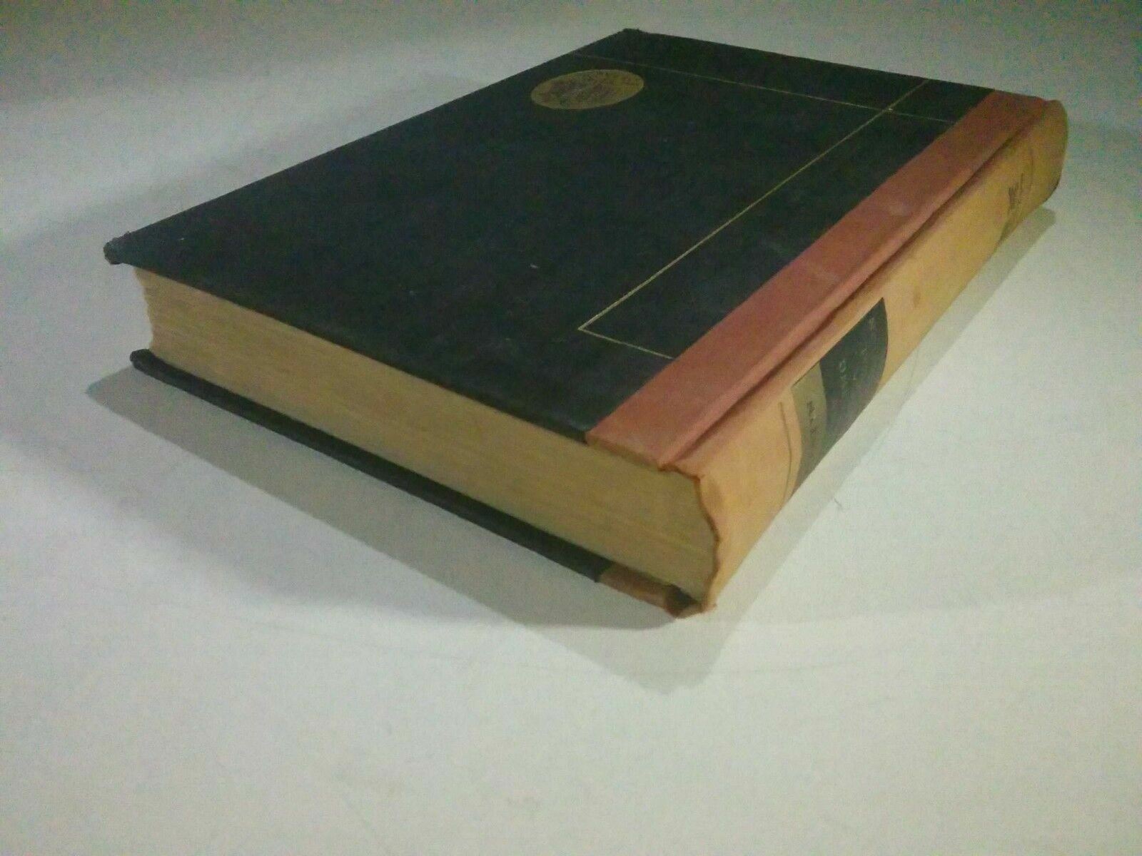 Image #6