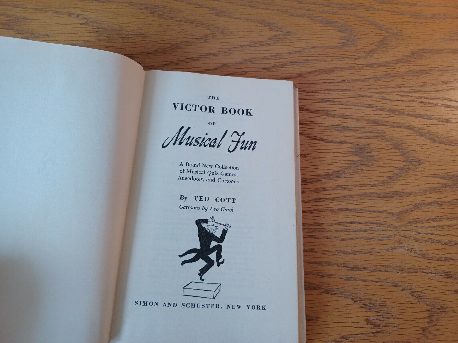 Image #8