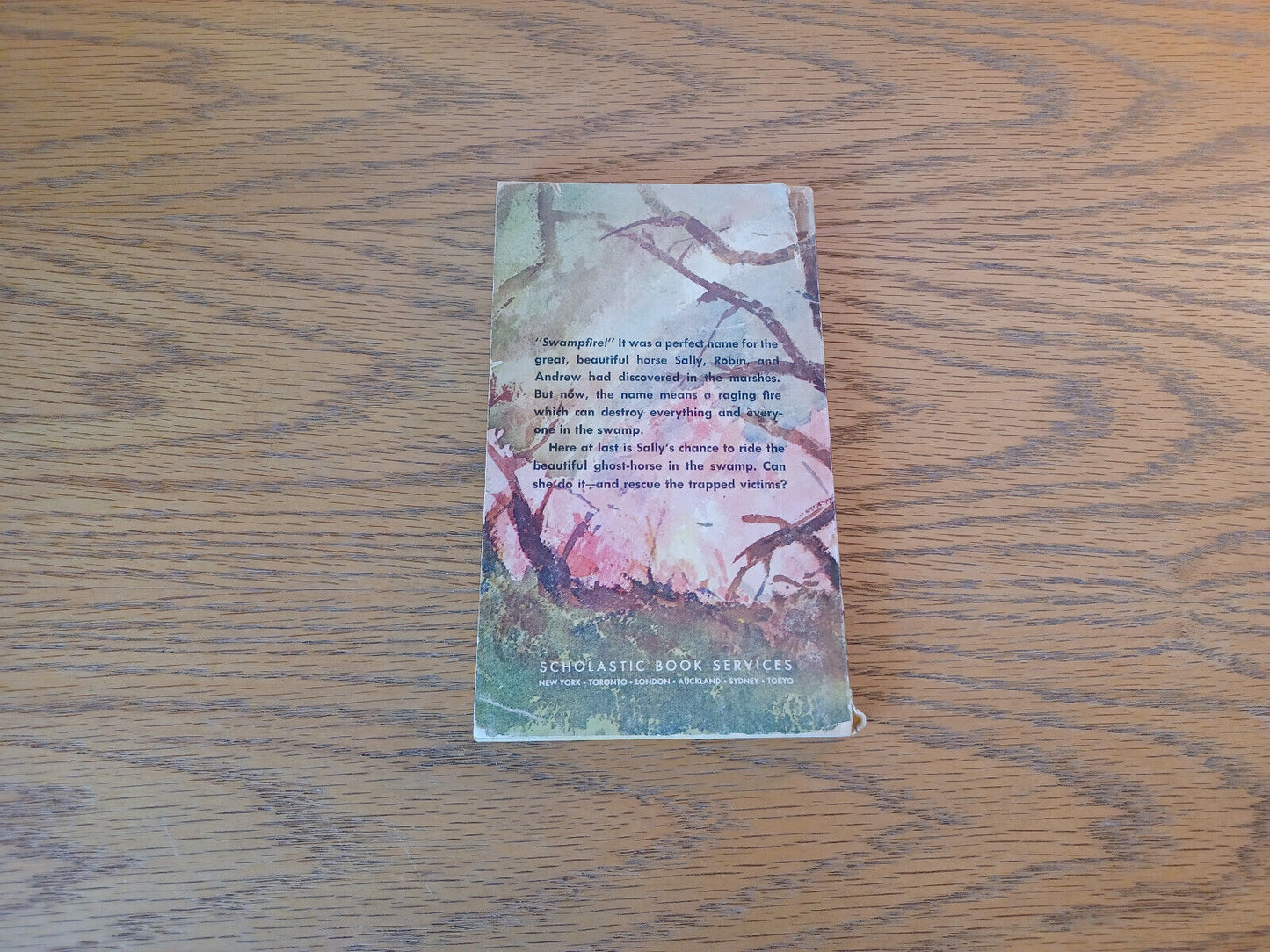 Image #6
