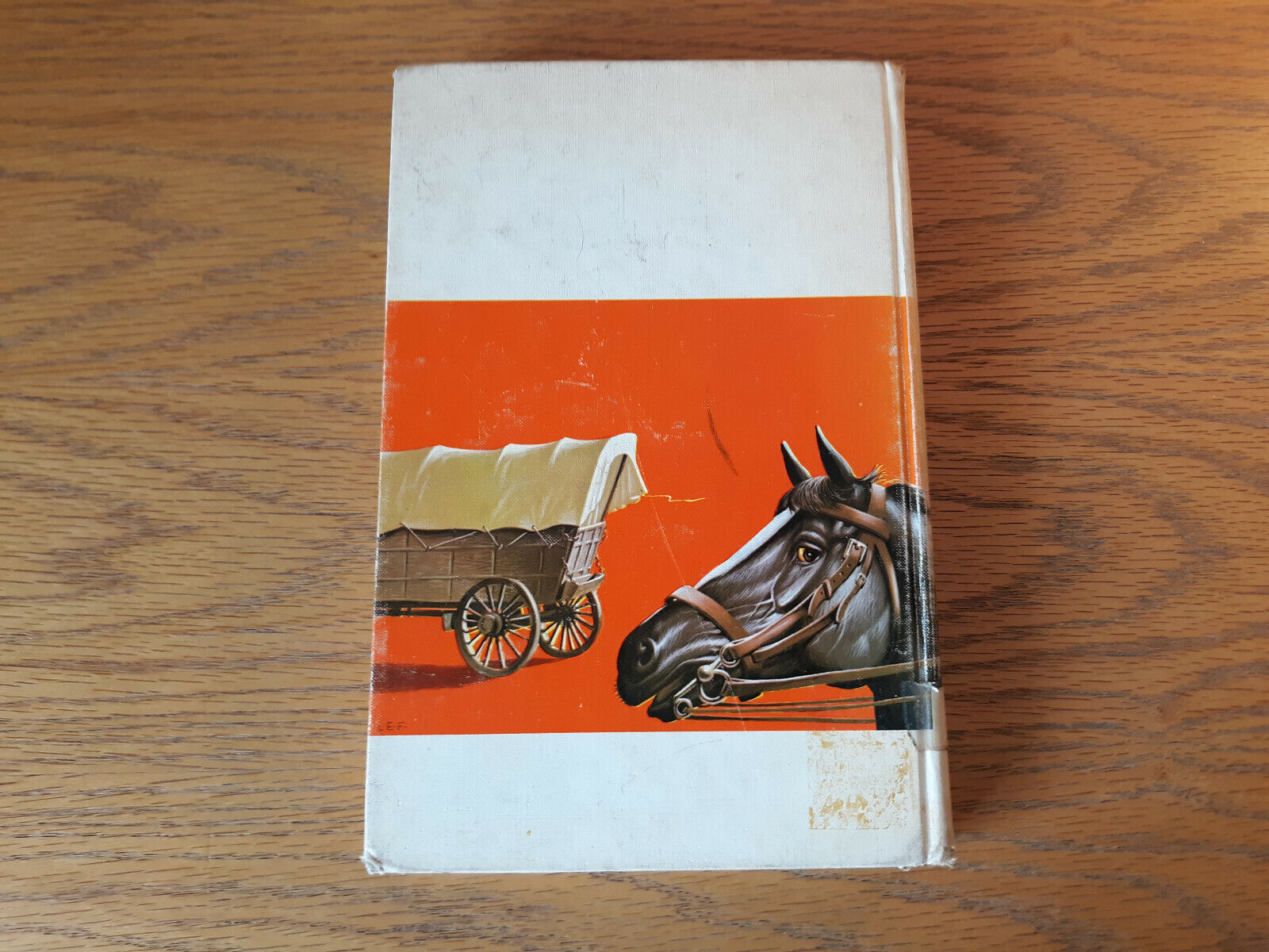 Image #6