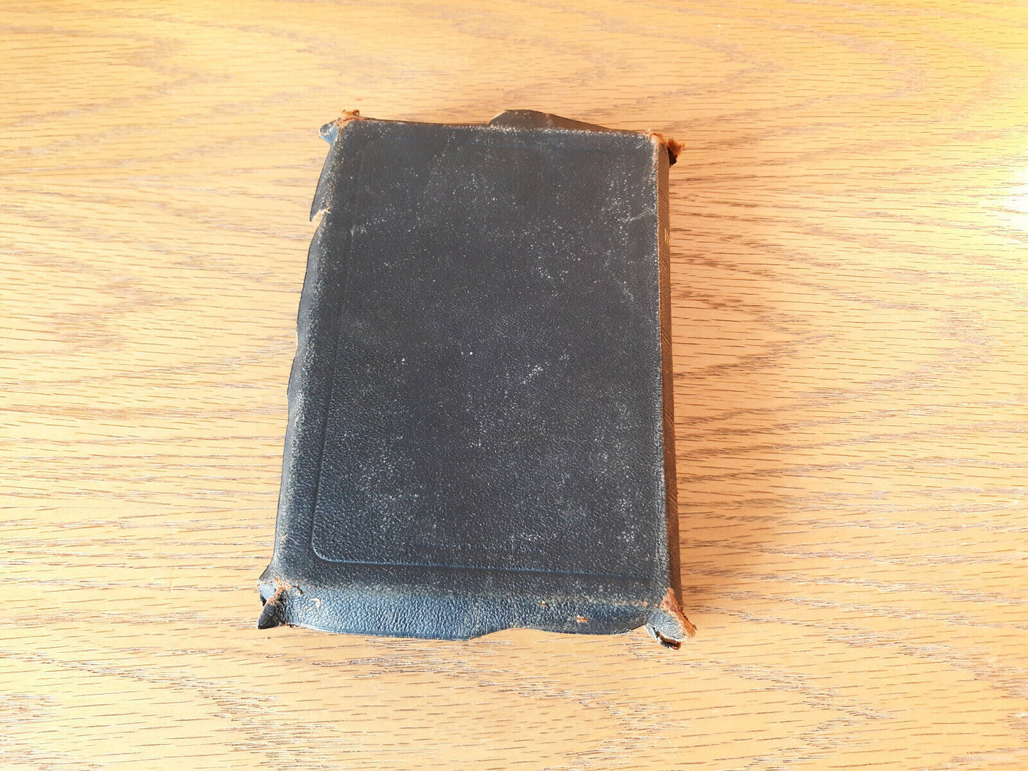 Image #6