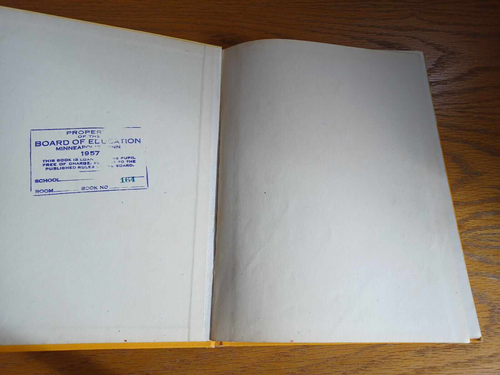 Image #7
