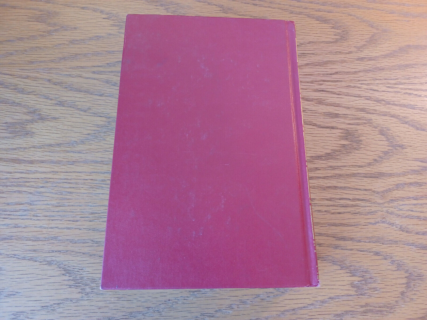 Image #6