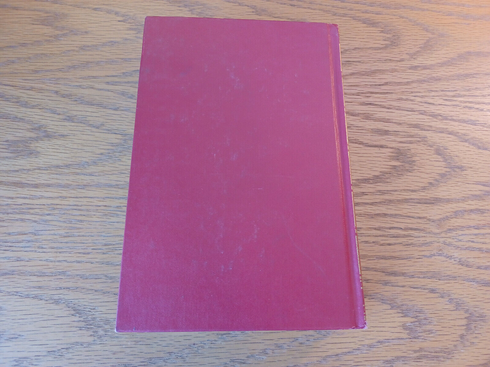Image #6