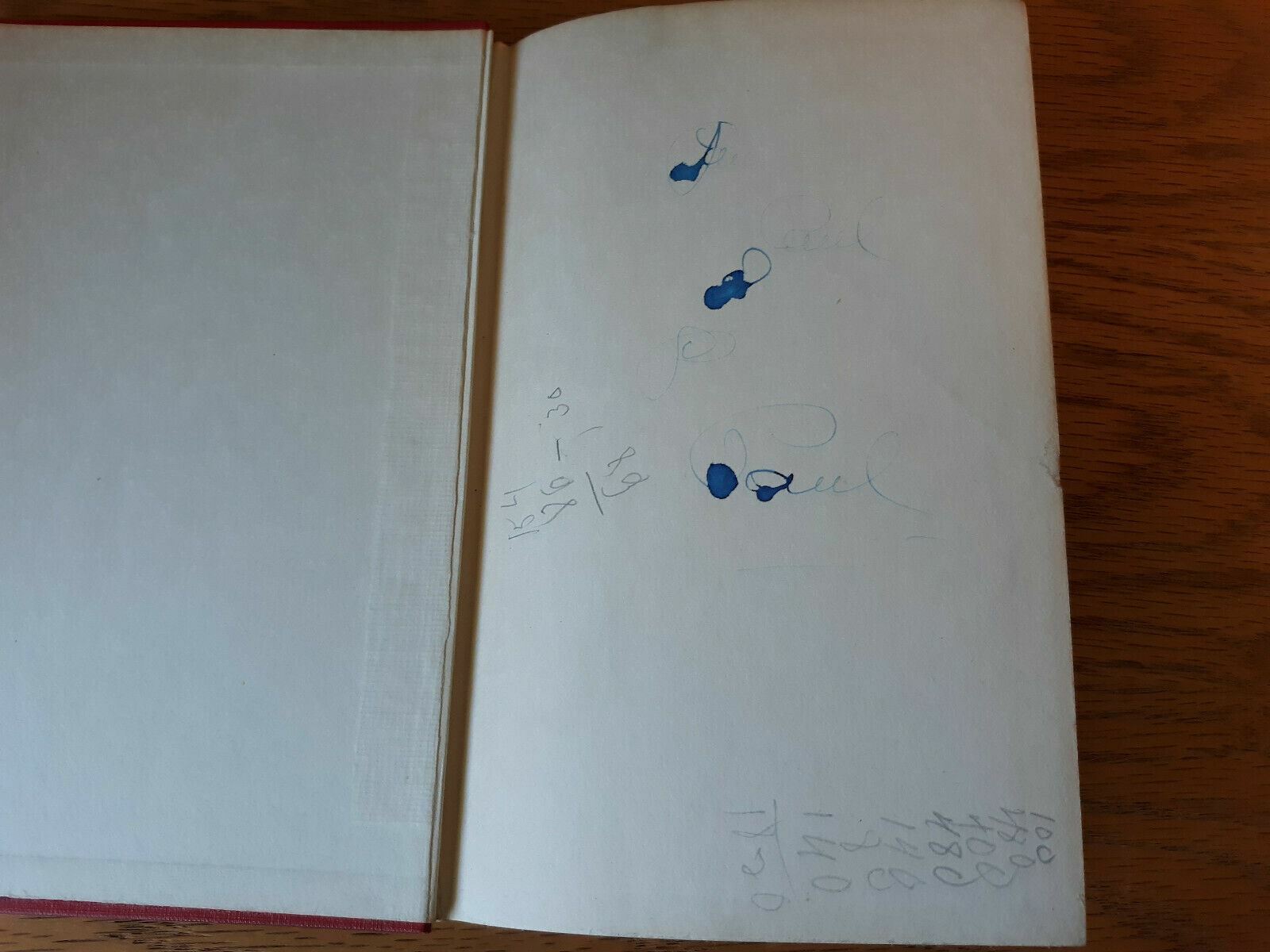 Image #7