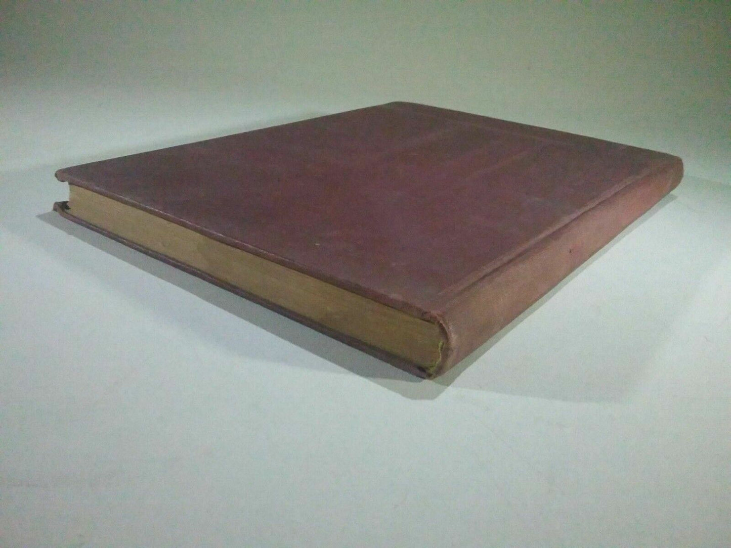 Image #6