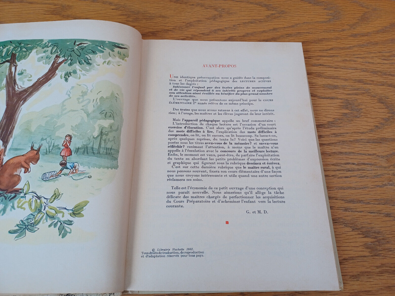 Image #8