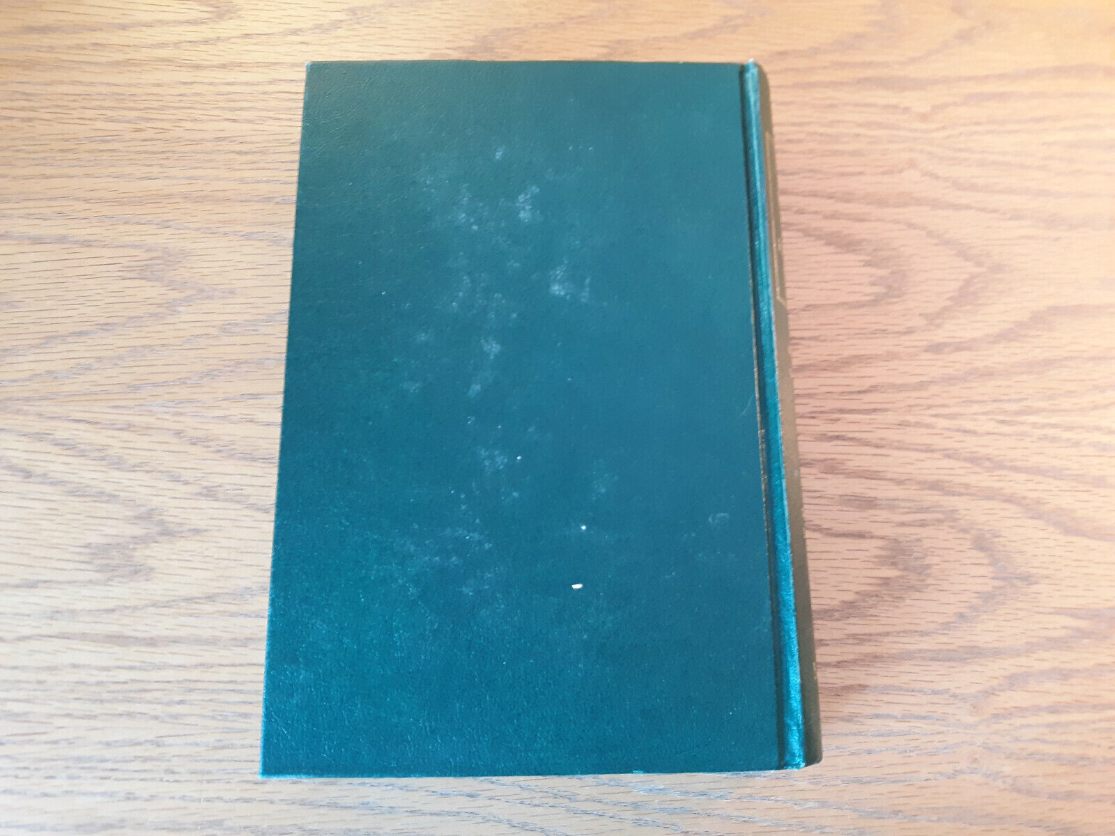Image #6
