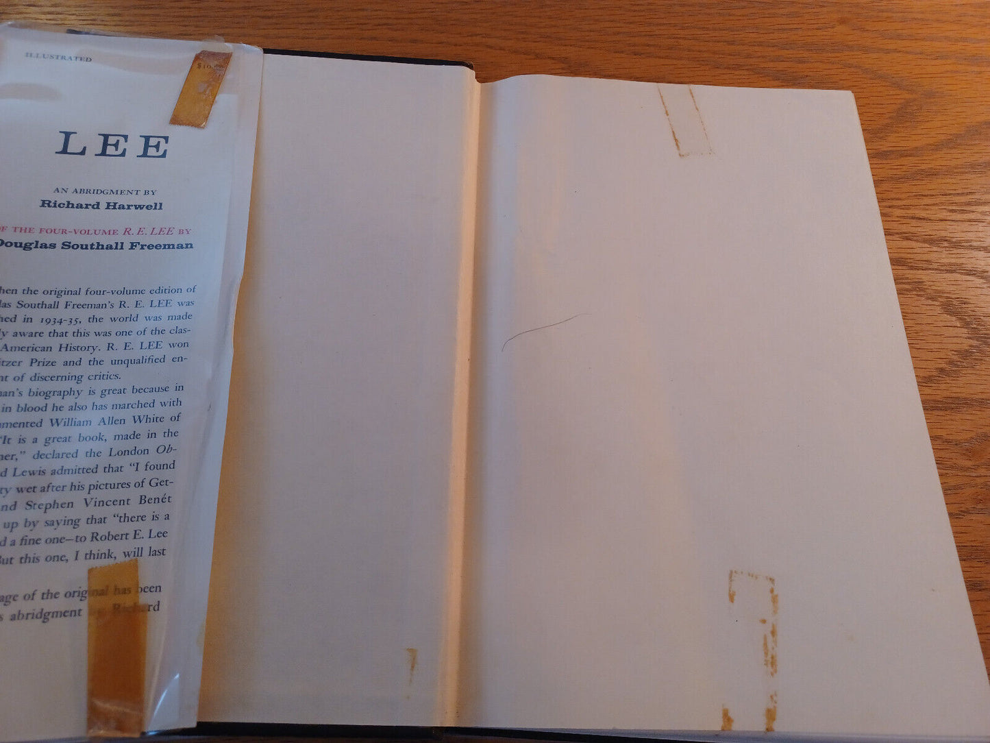 Image #7