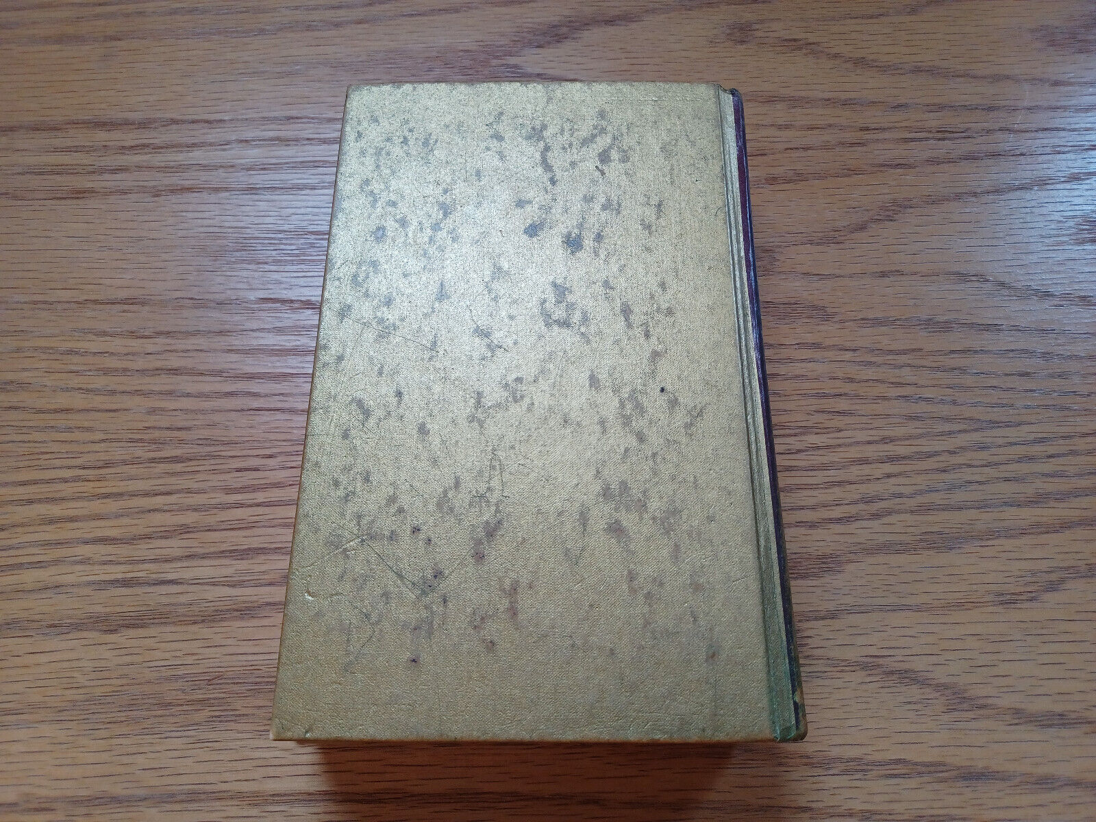 Image #6