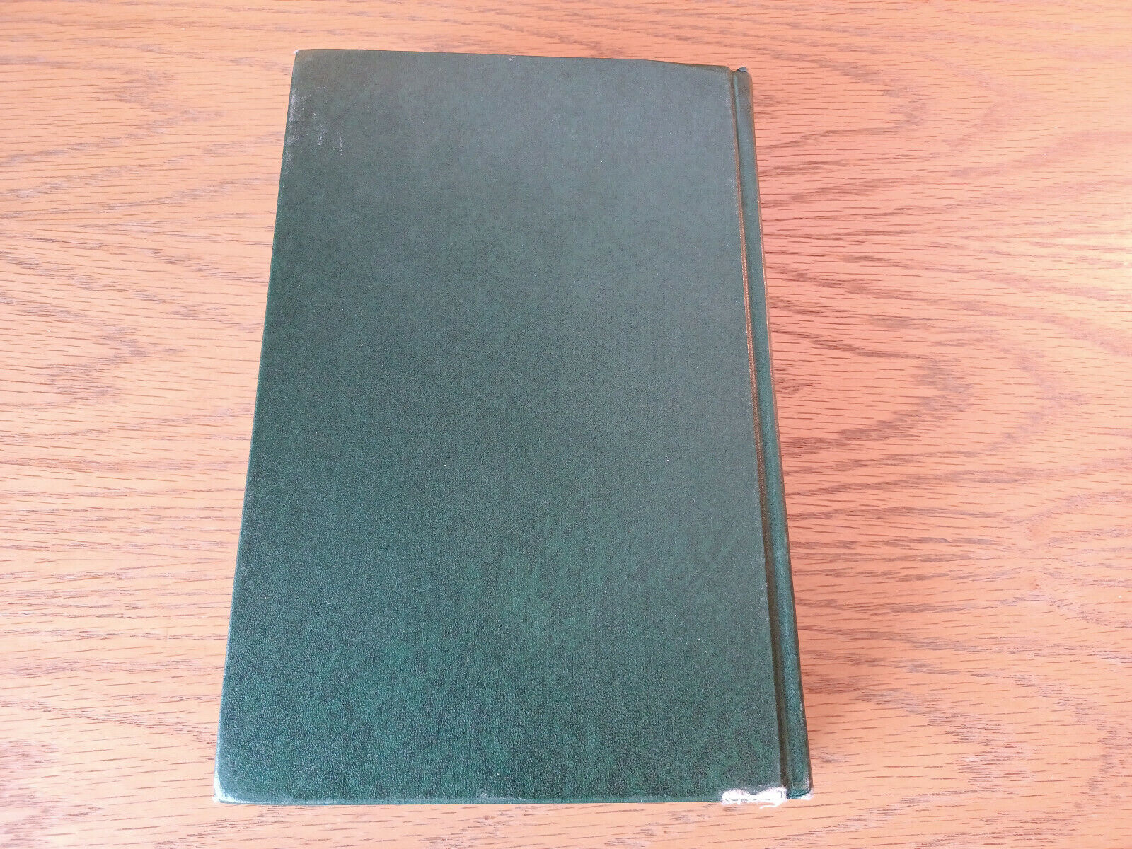 Image #6