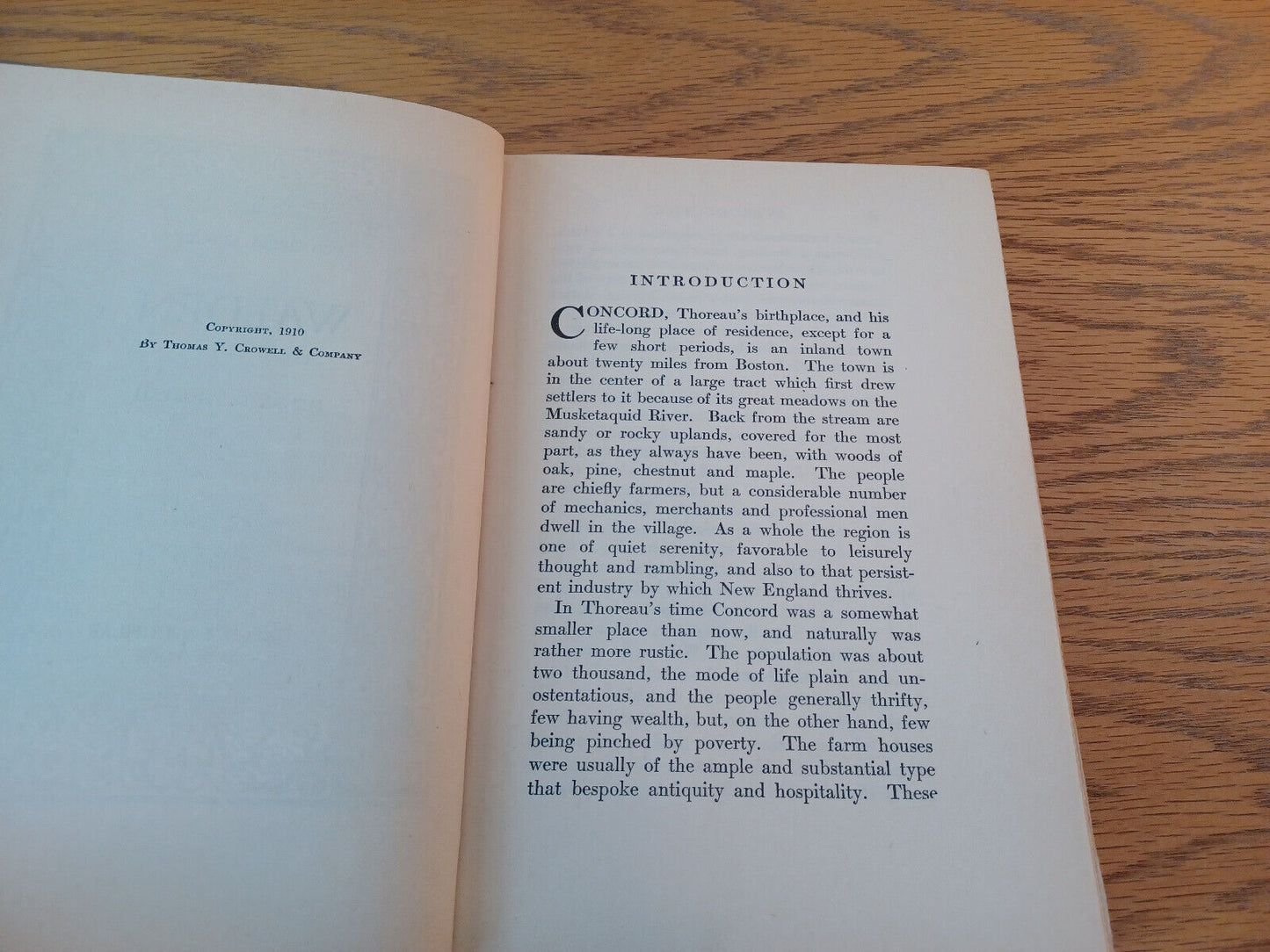 Image #8