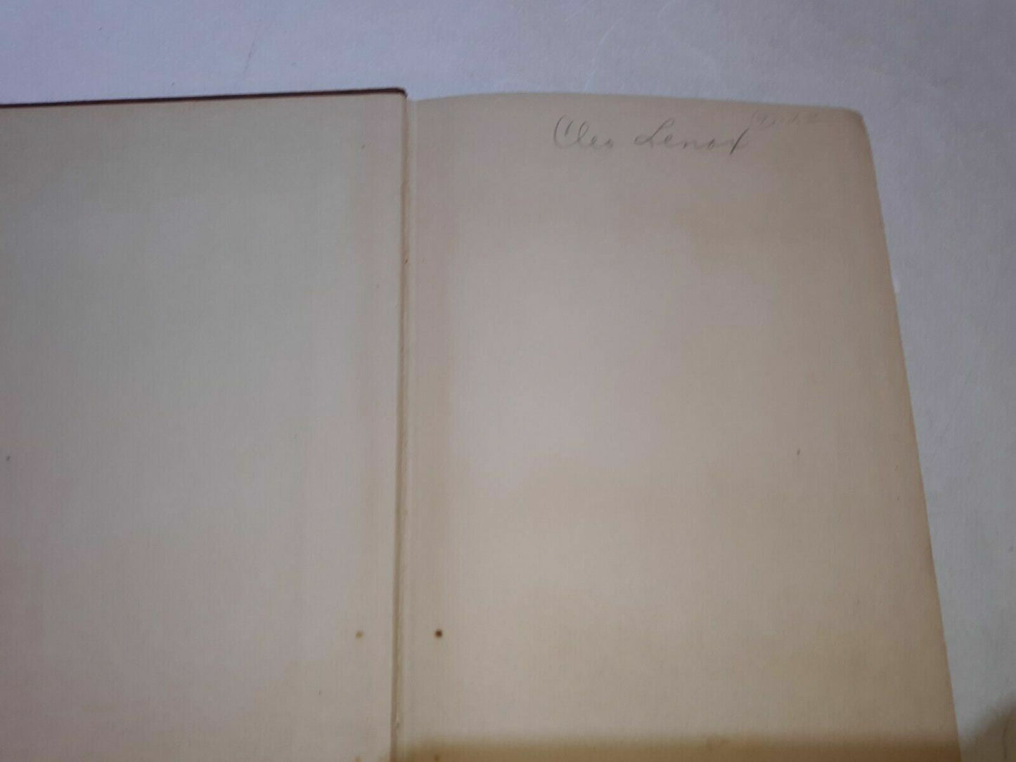 Image #6