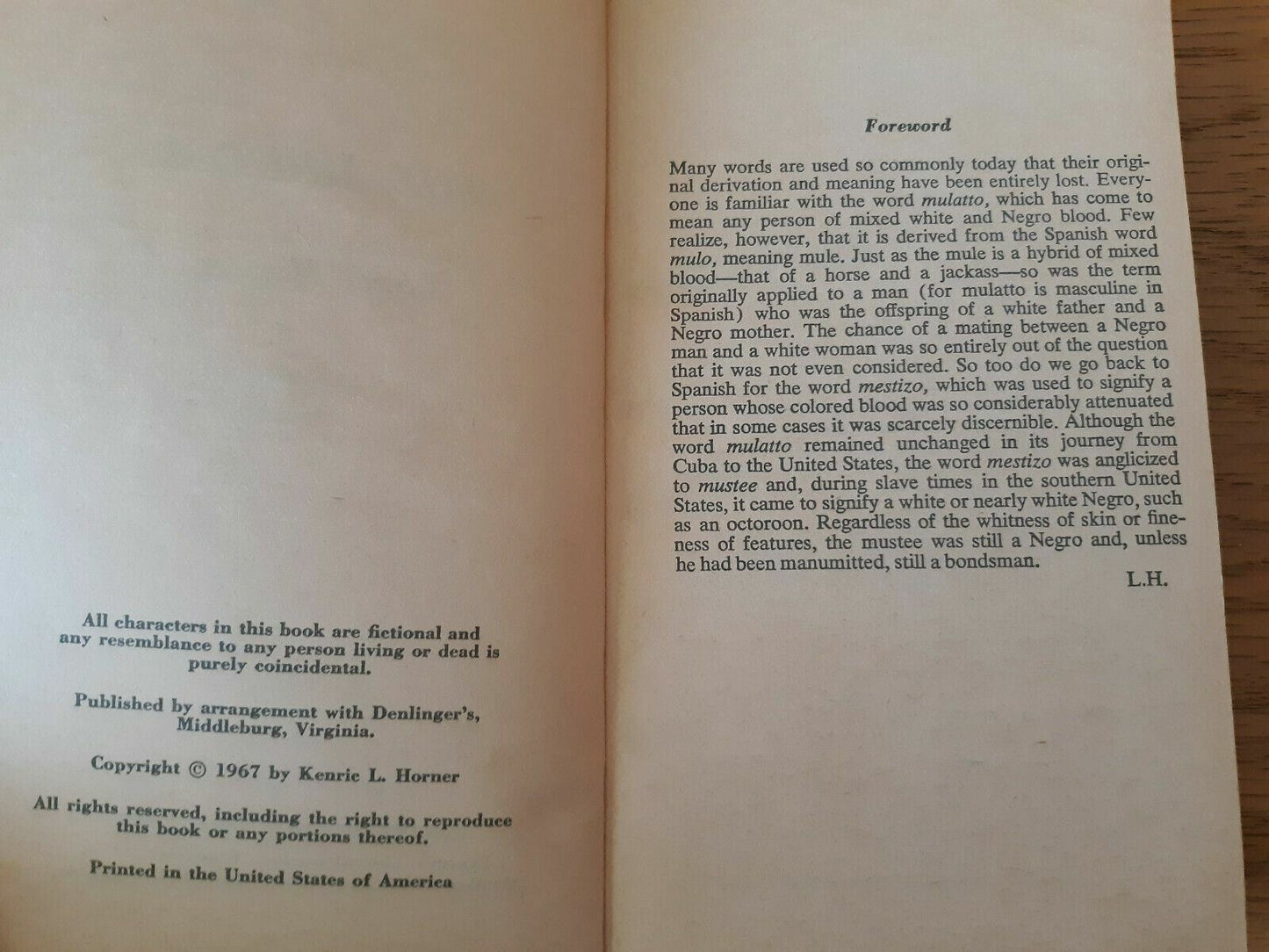 Image #8