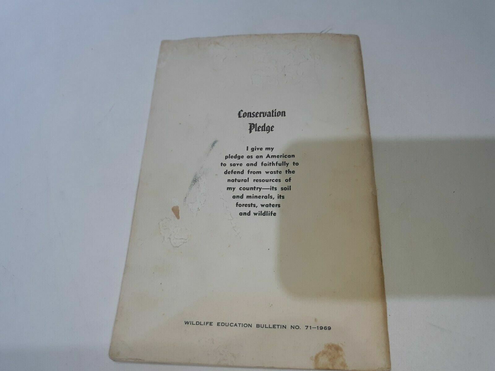 Image #5