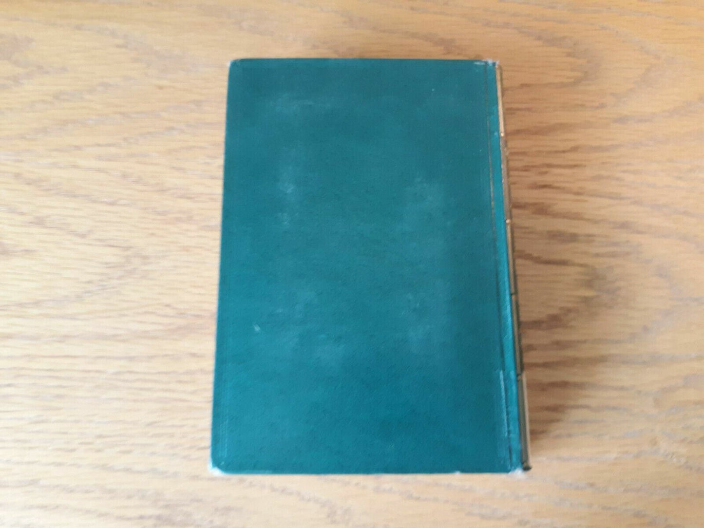 Image #6