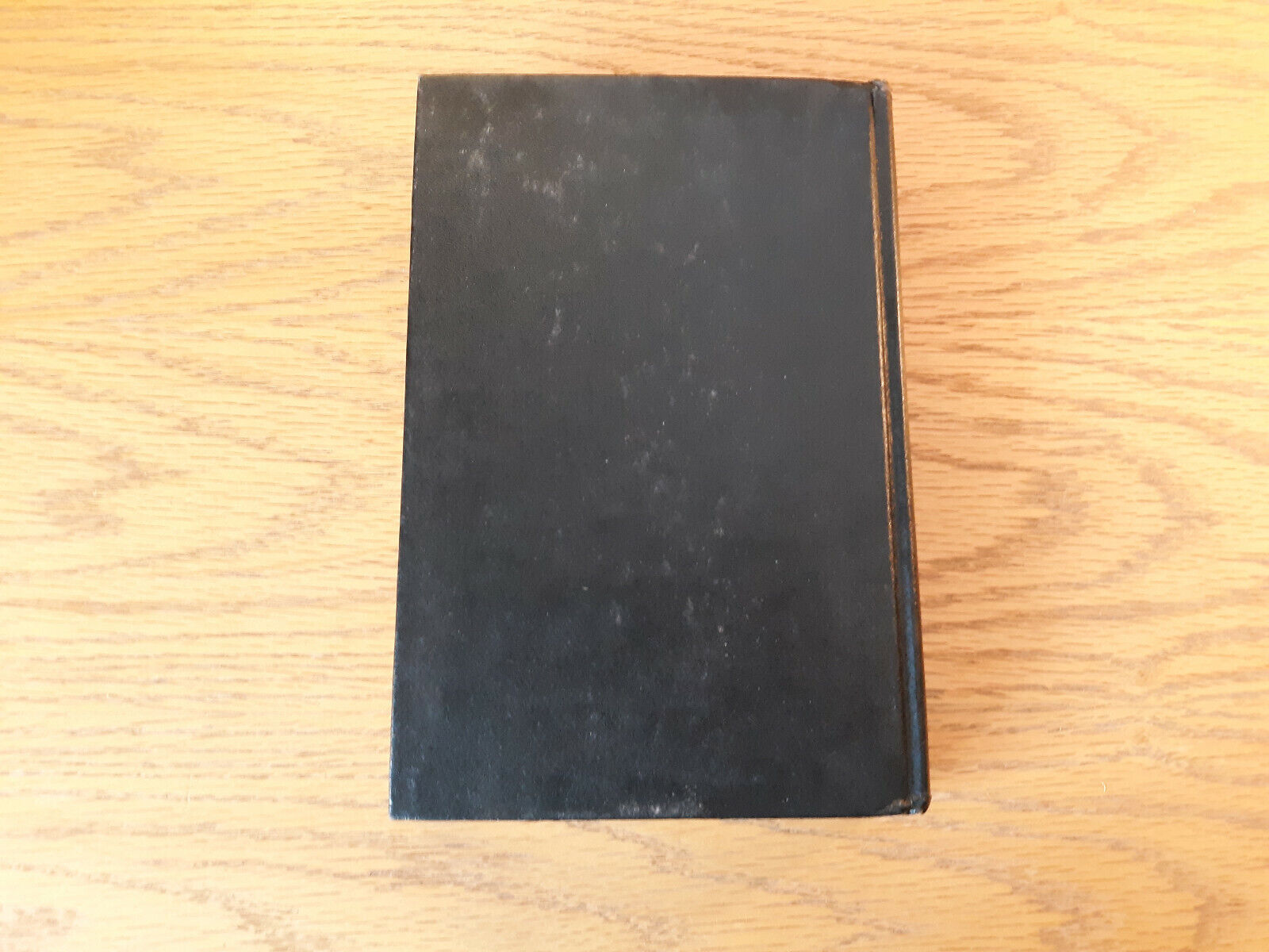 Image #6