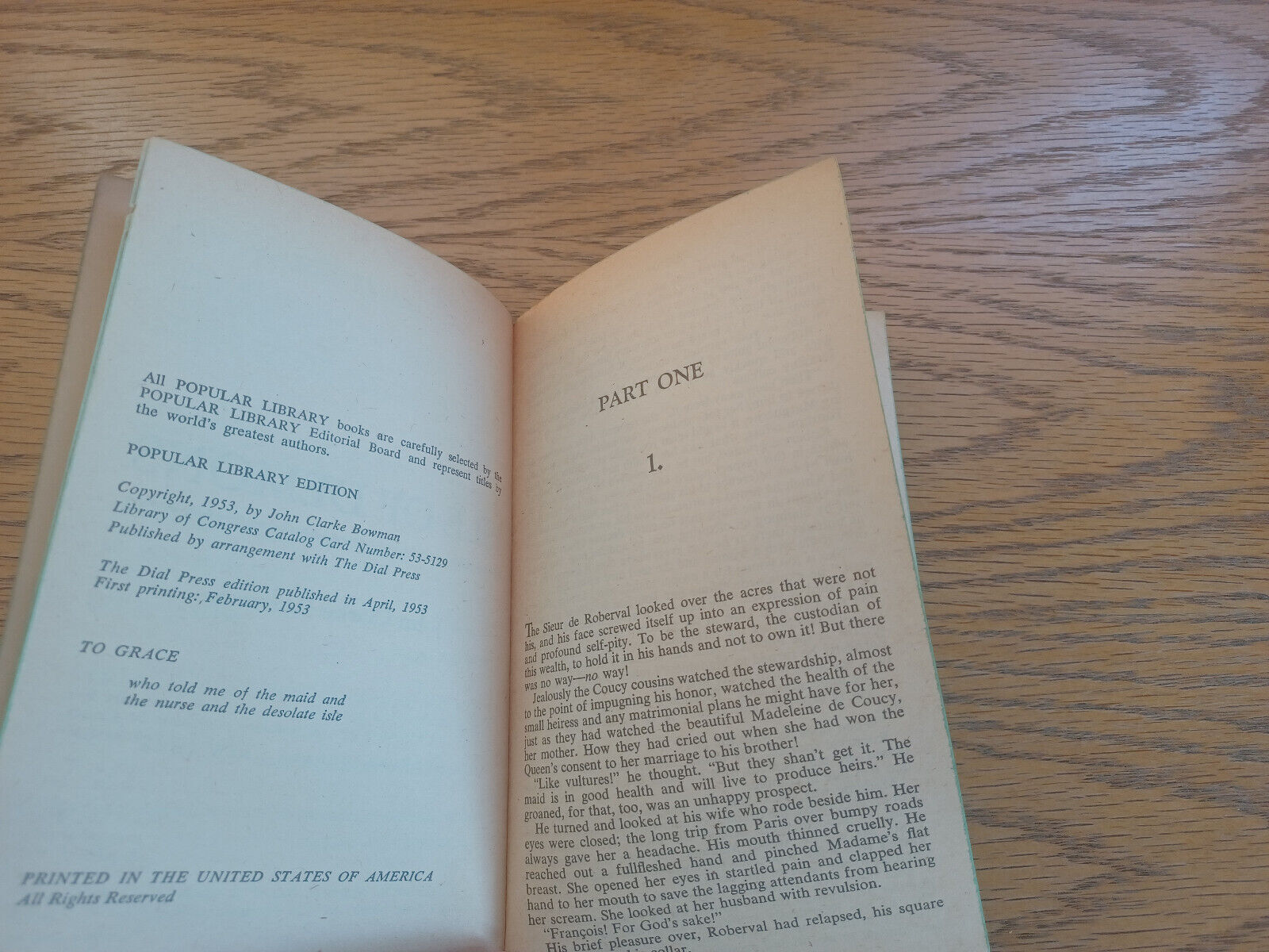 Image #8