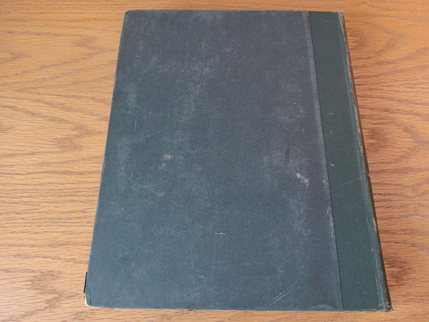 Image #6