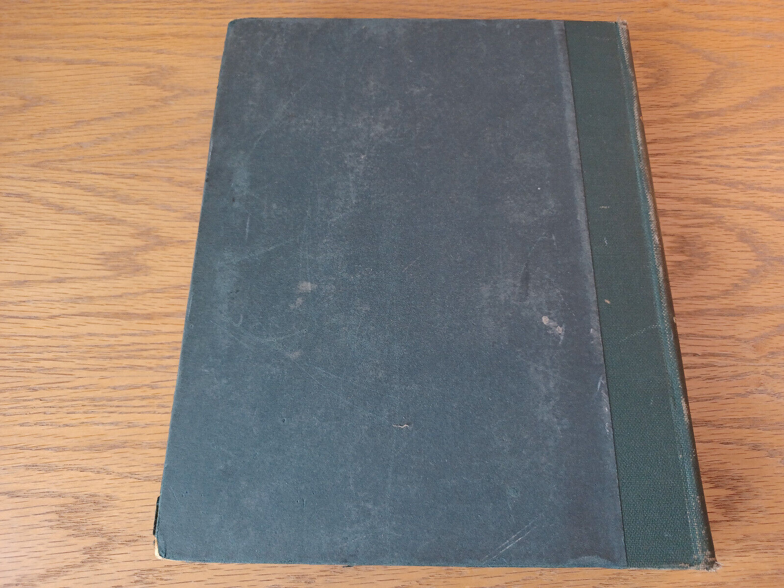 Image #6