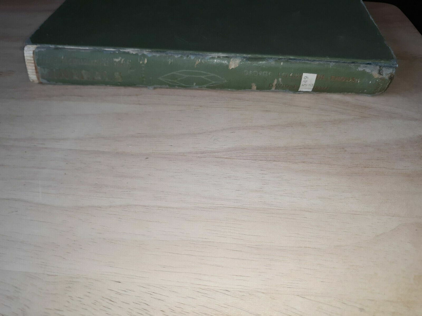 Image #5