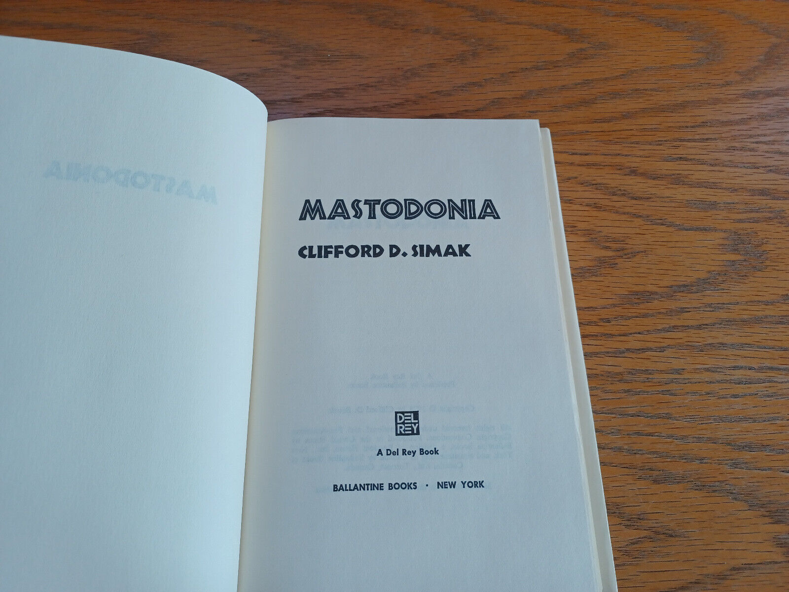 Image #8