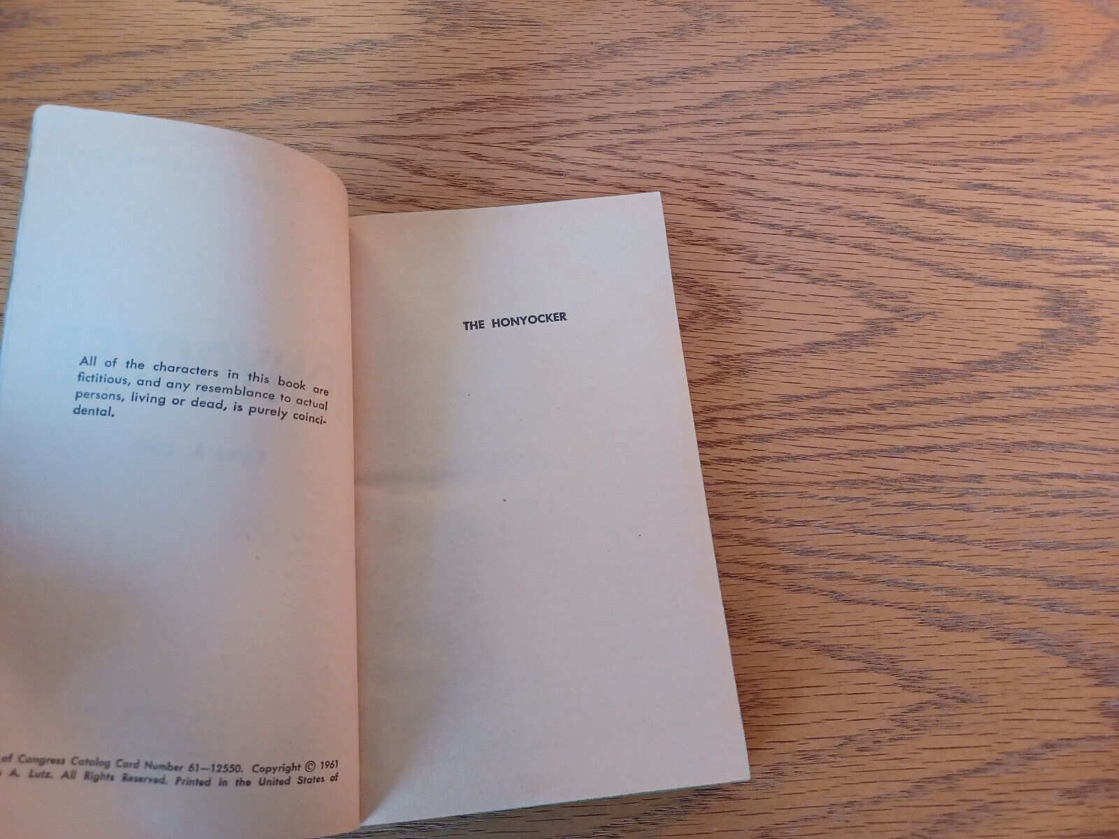 Image #8