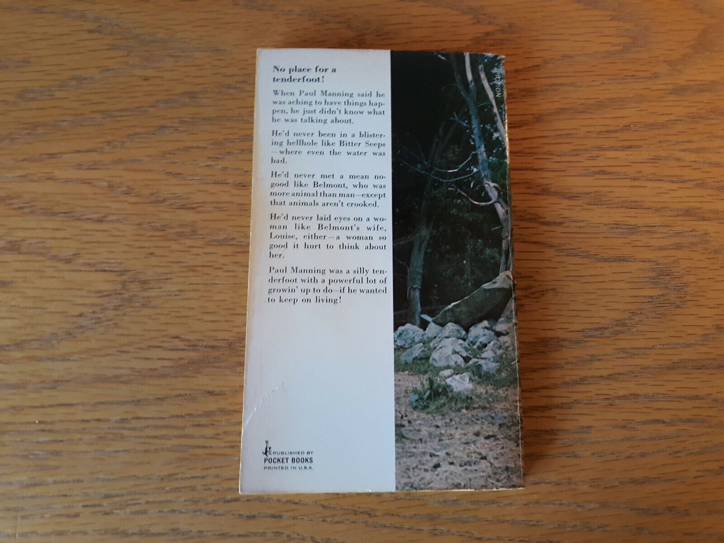 Image #6