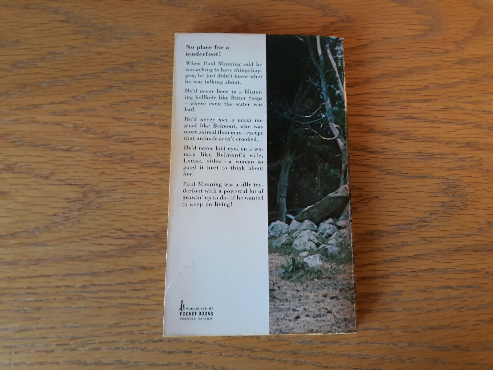 Image #6