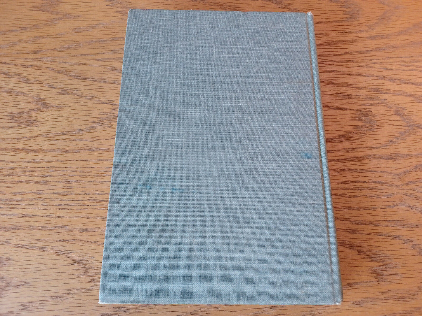 Image #6