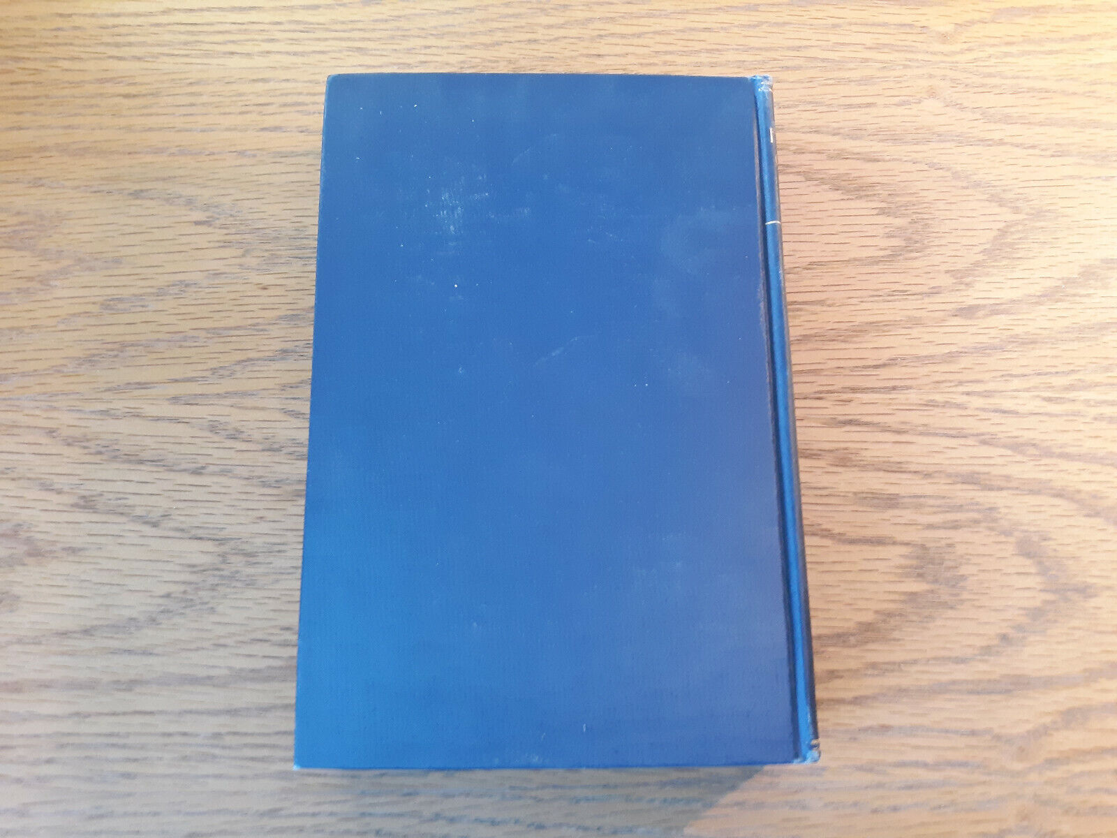 Image #6