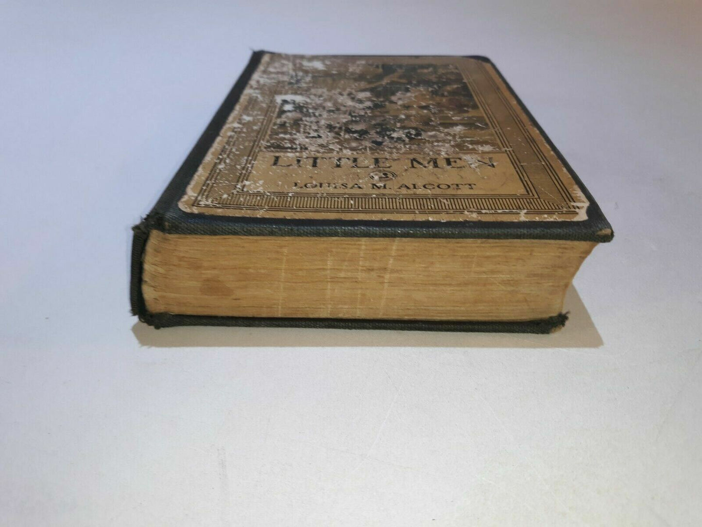 Image #2