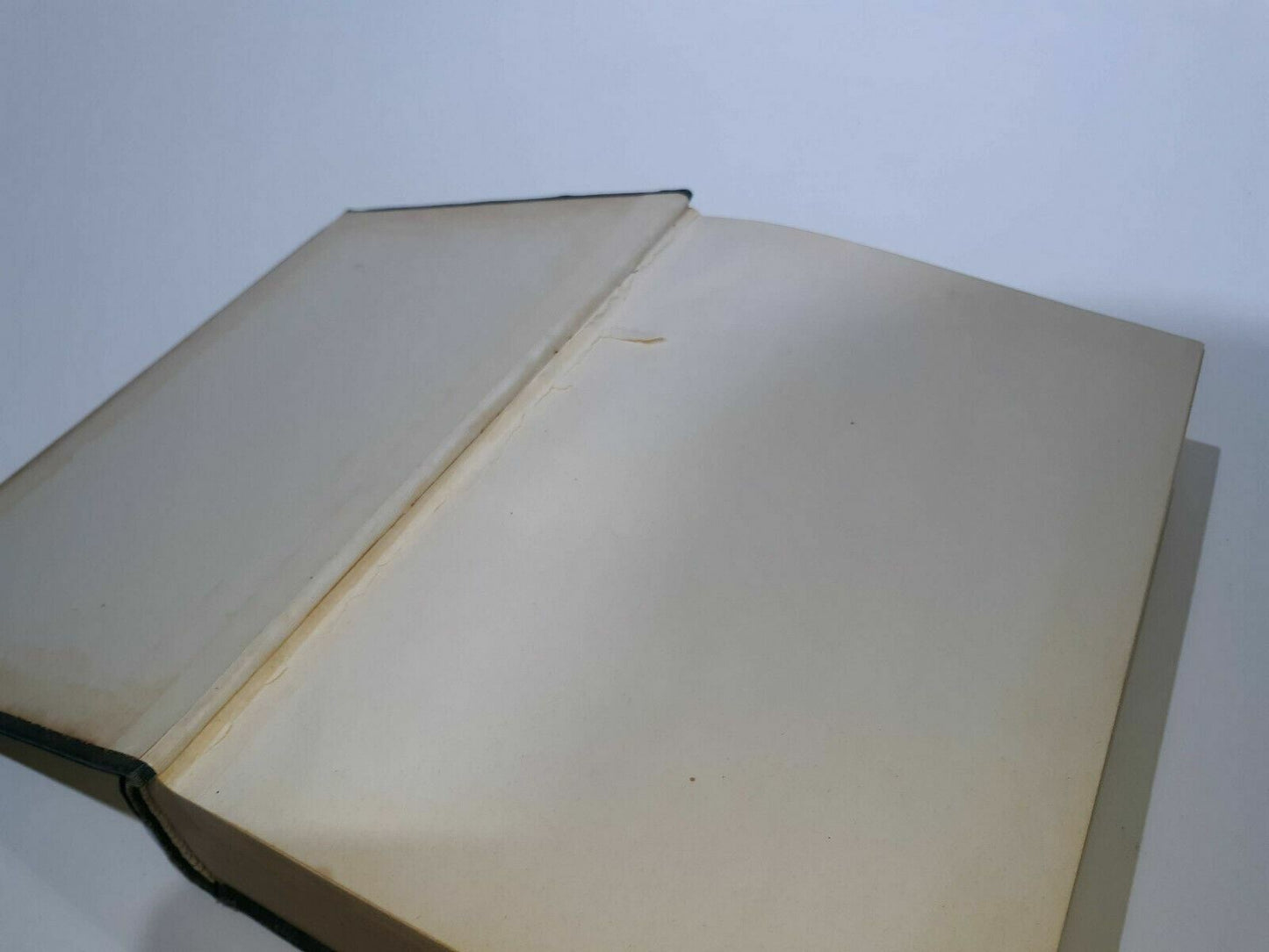 Image #8