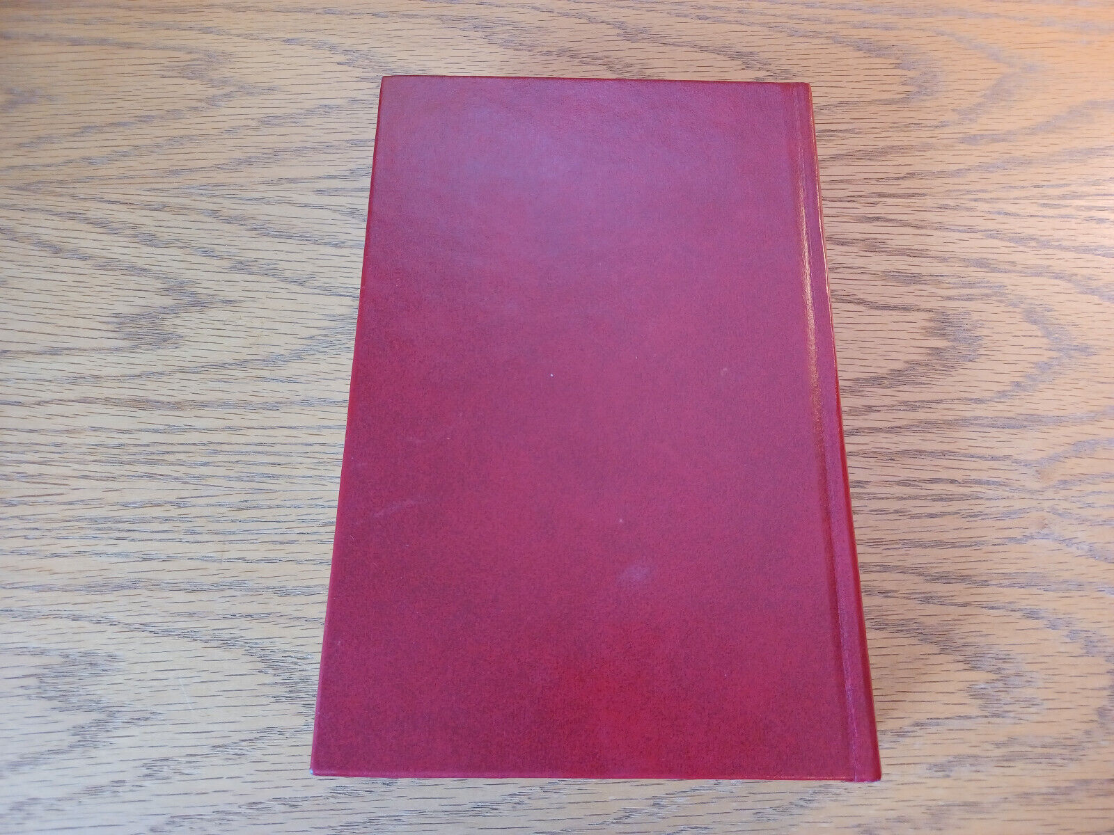 Image #6