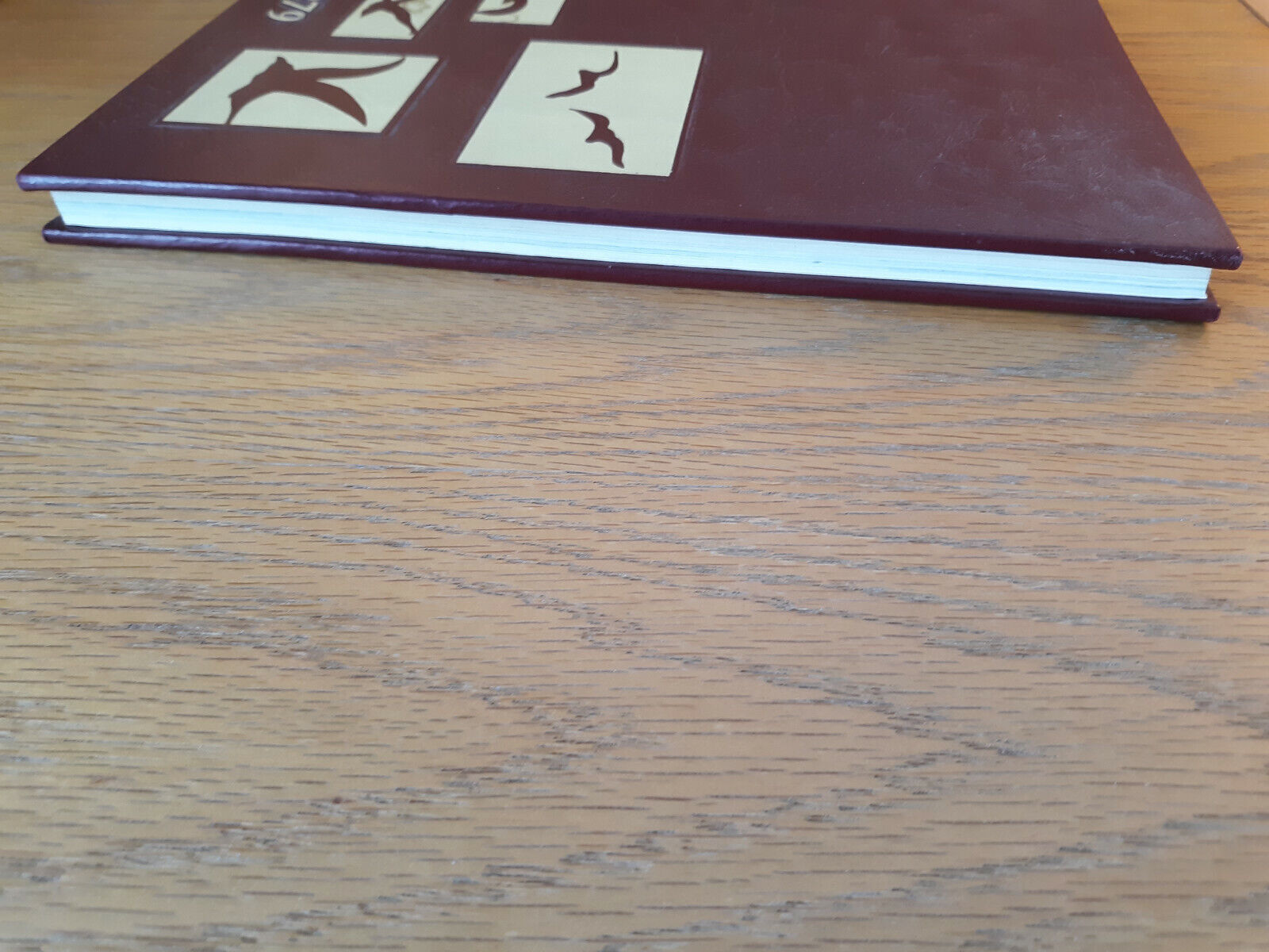Image #3