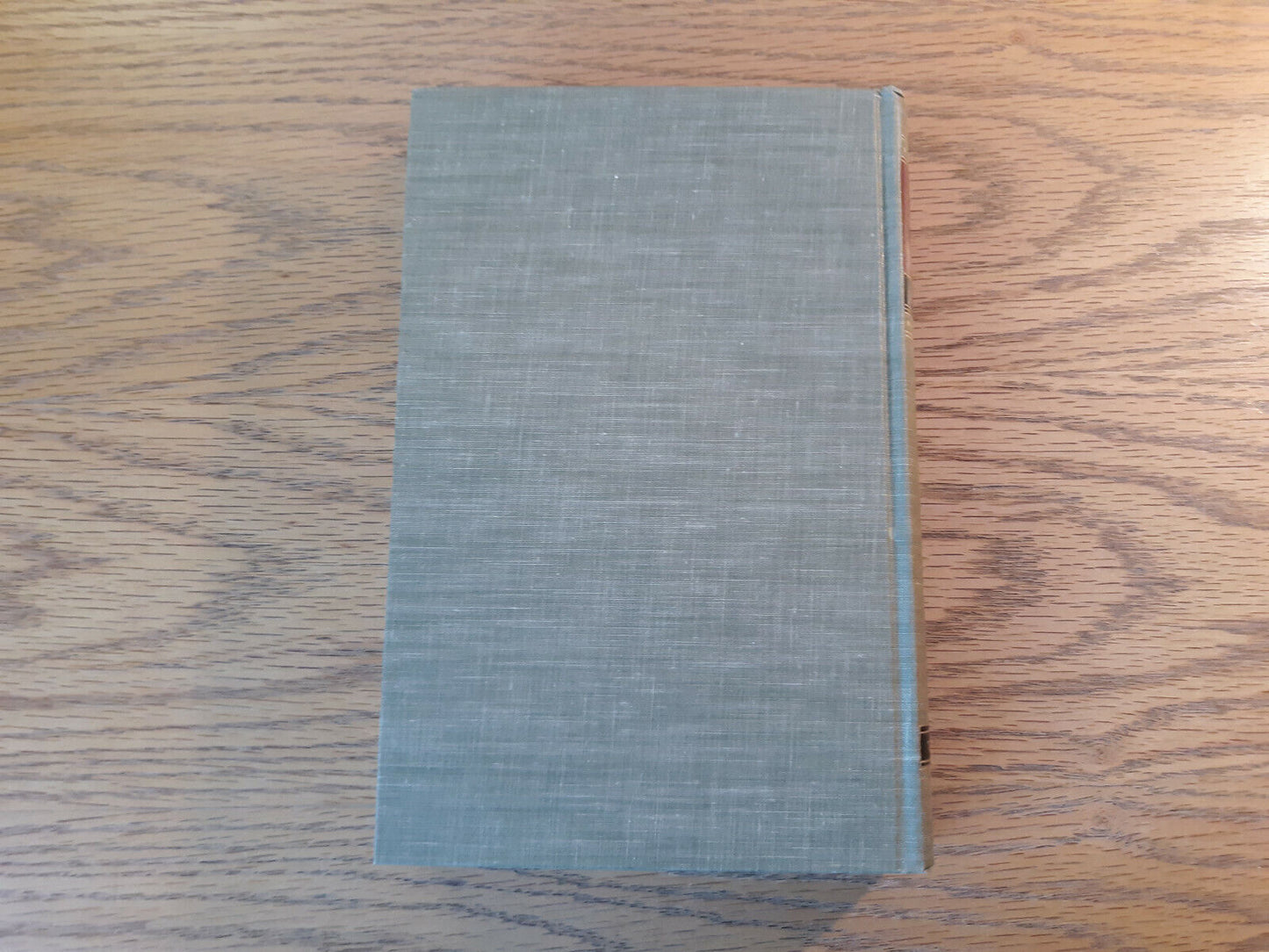 Image #6