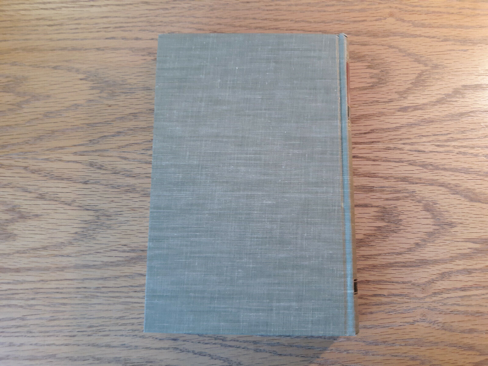 Image #6