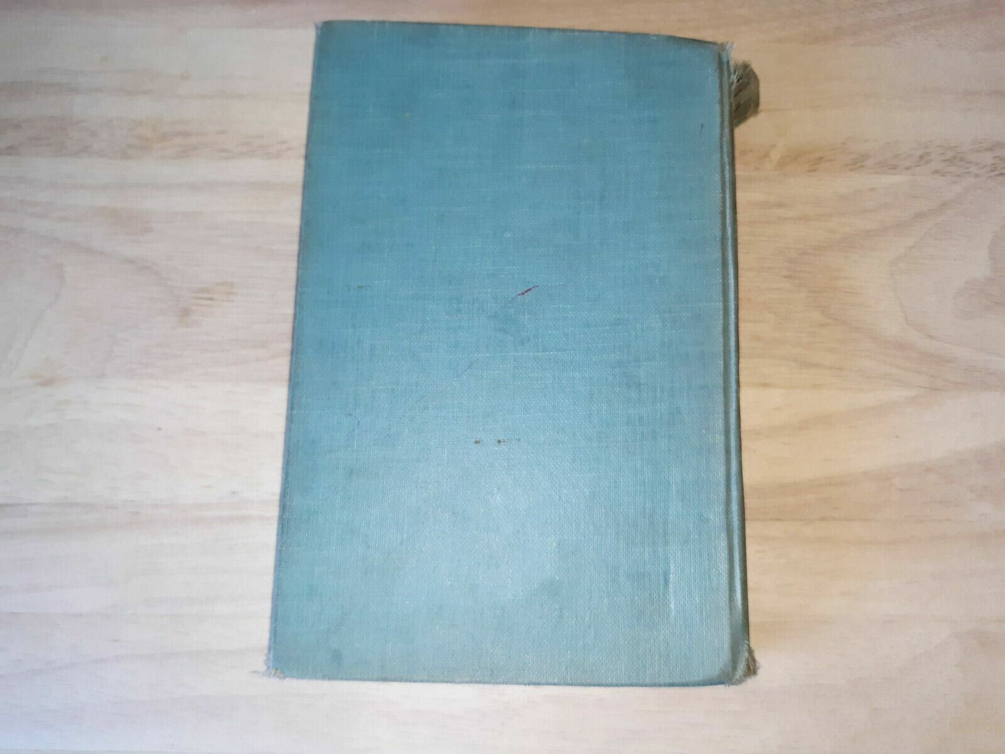 Image #6