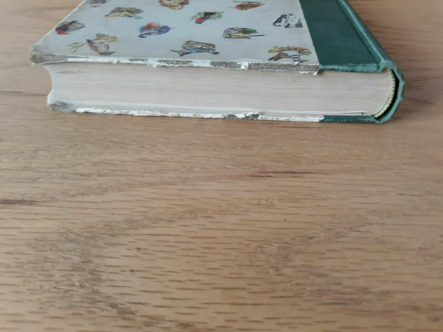 Image #4