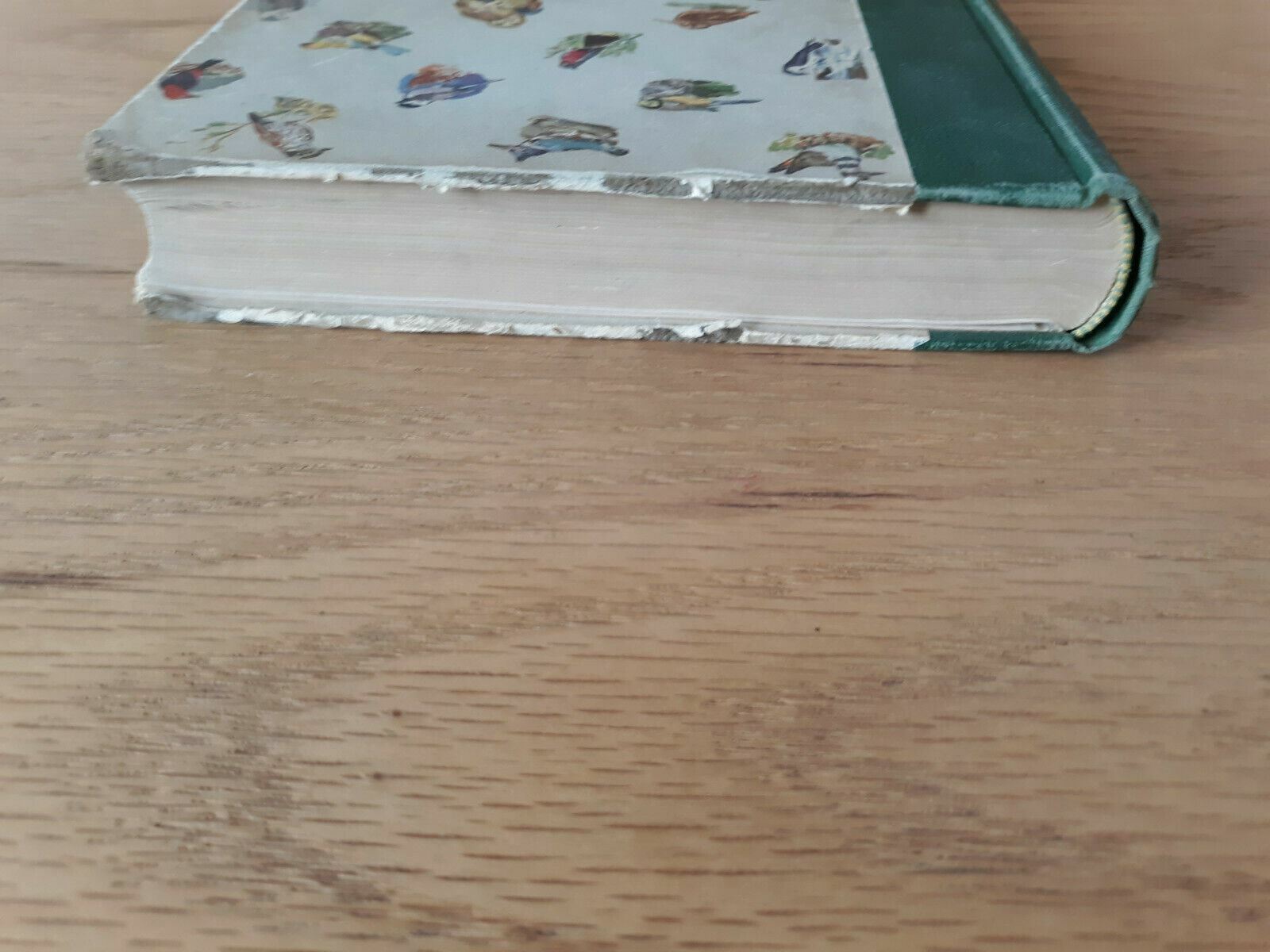 Image #4