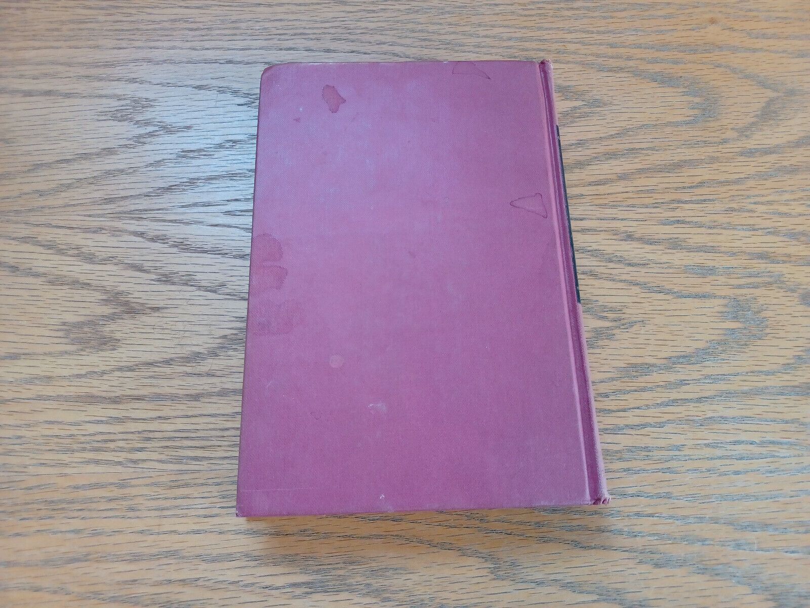 Image #6