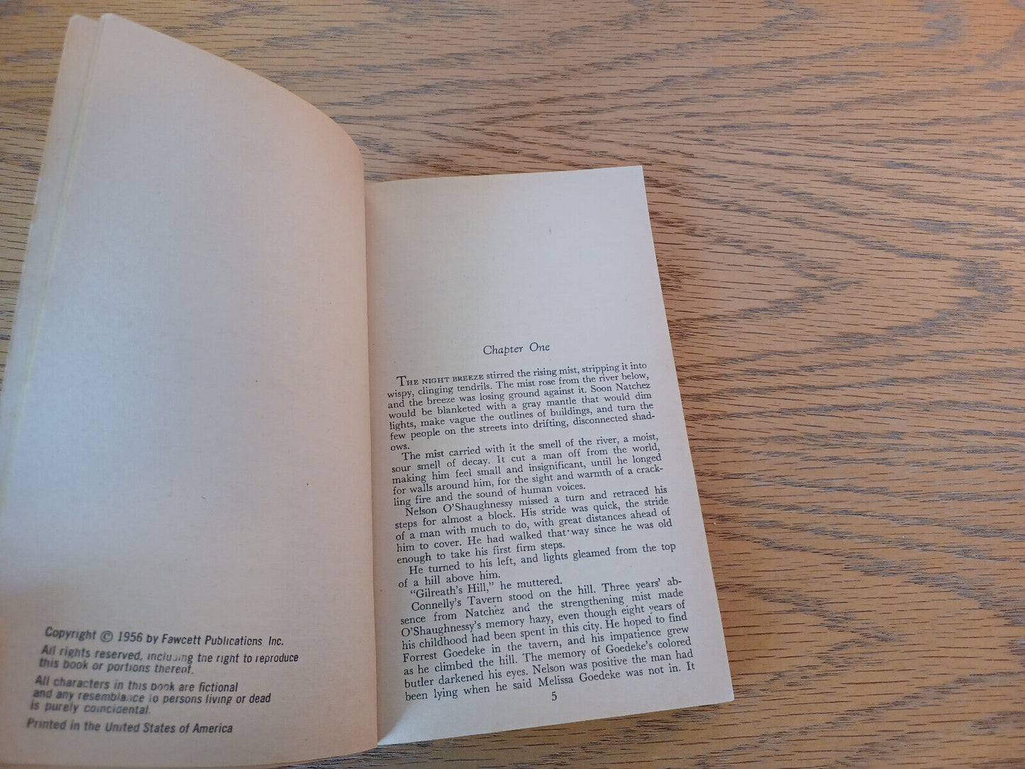 Image #8