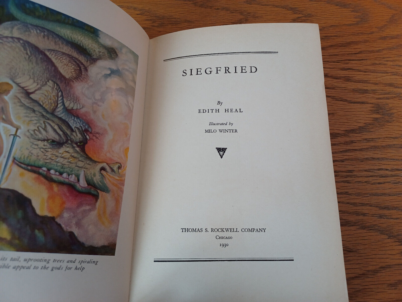 Image #7