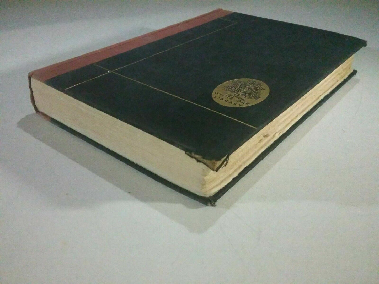 Image #4