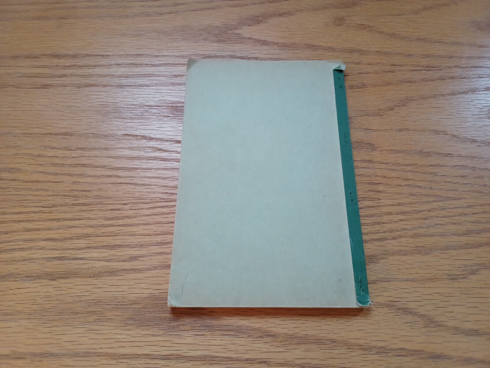 Image #6