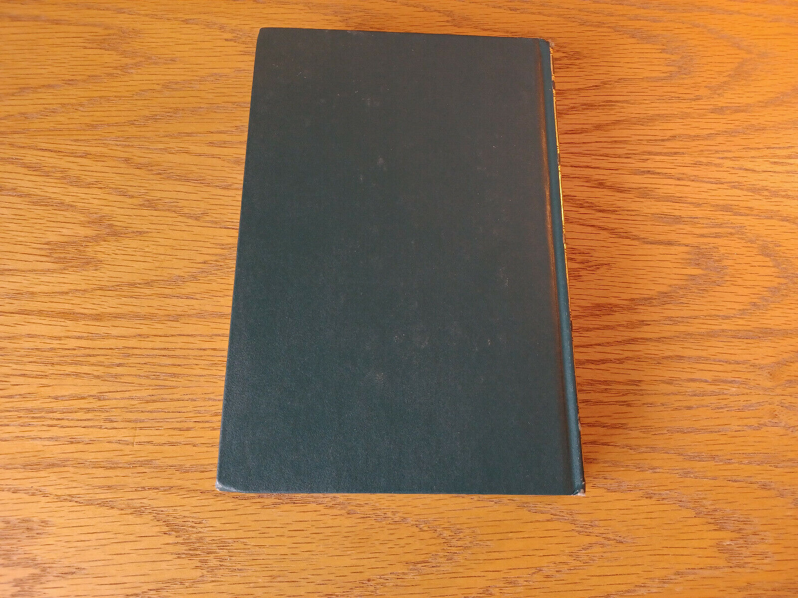 Image #6